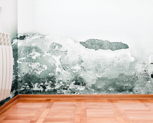 Cómo pintar una pared con humedades