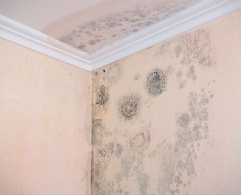 Cómo quitar la humedad de la pared de tus habitaciones