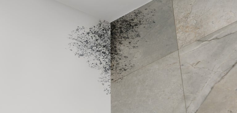 Cómo quitar el moho del techo del baño